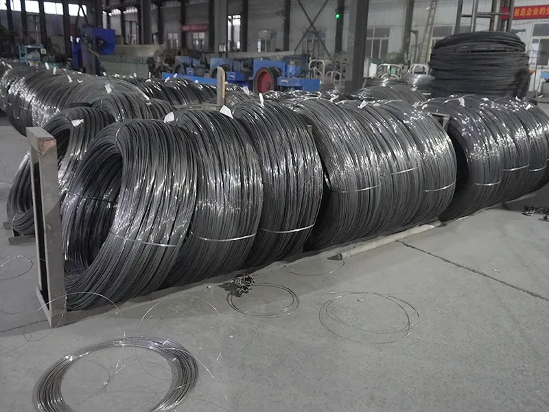 Q195 Karbon Wire Mesh